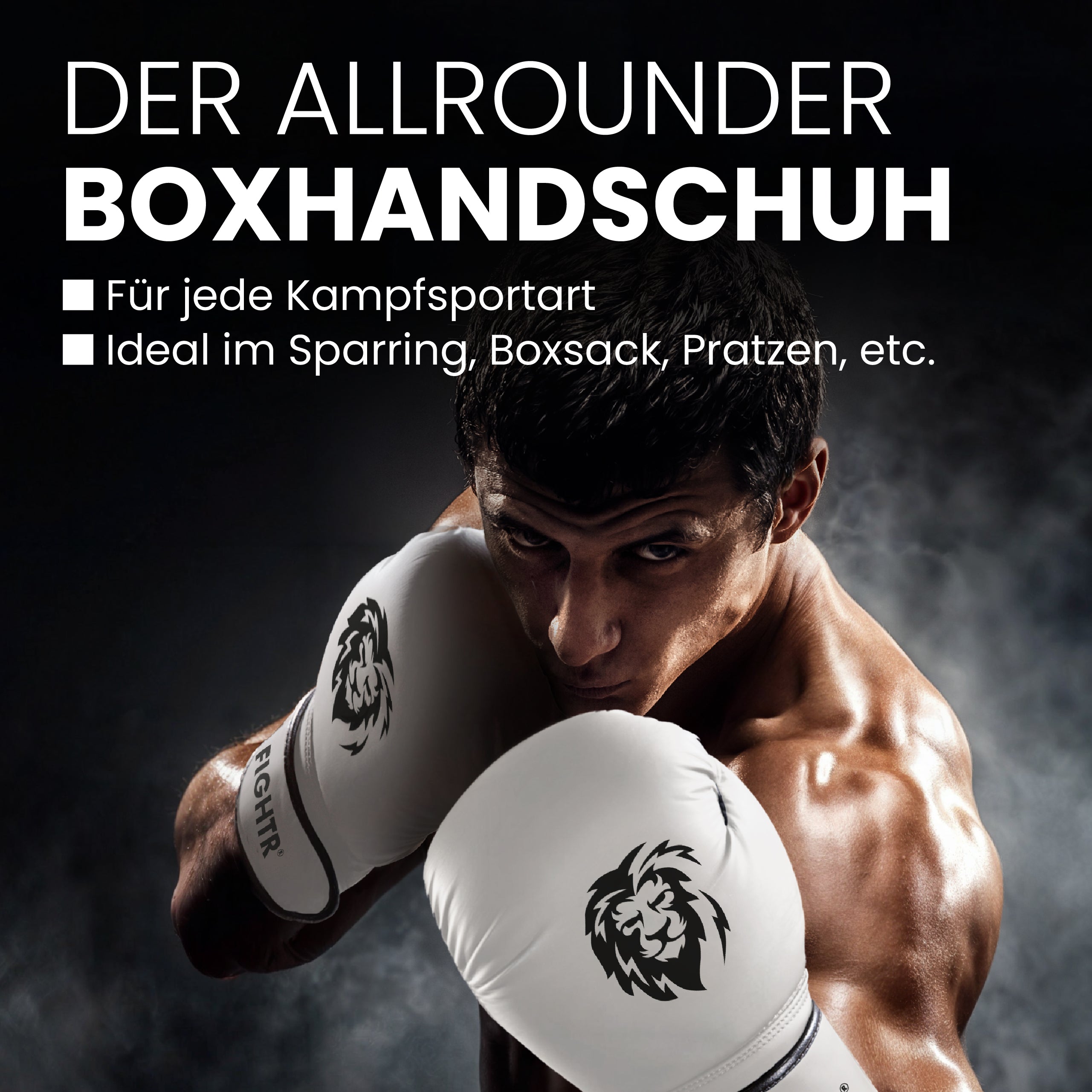 Boxhandschuhe FBG XIV