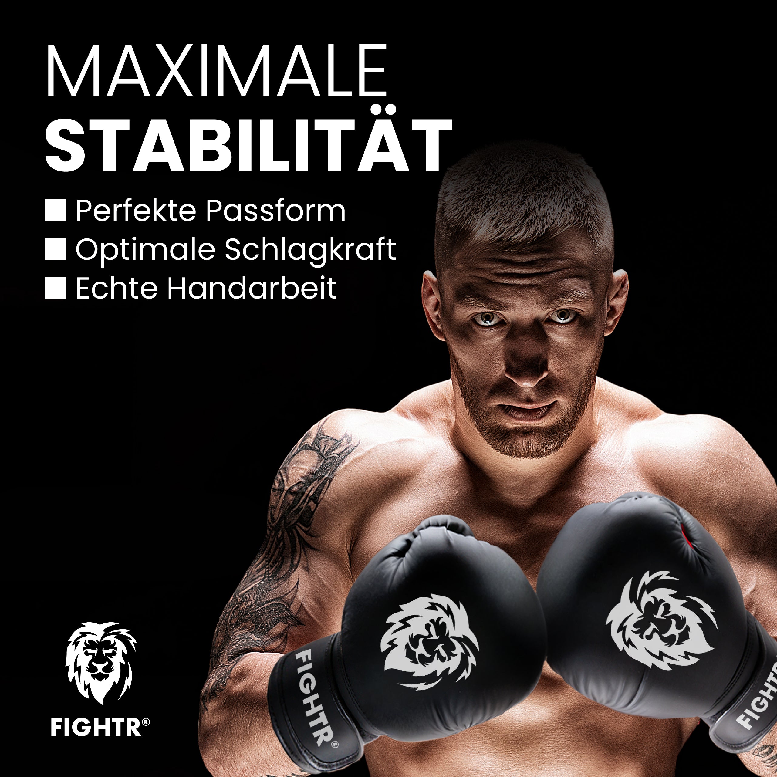 Boxhandschuhe FBG XIV