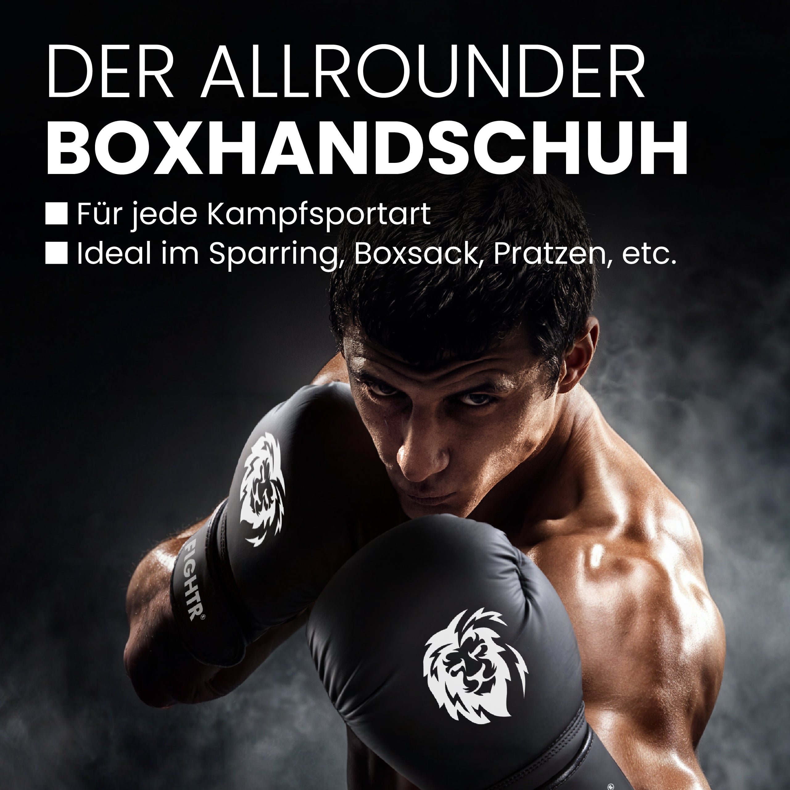 Boxhandschuhe FBG XIV