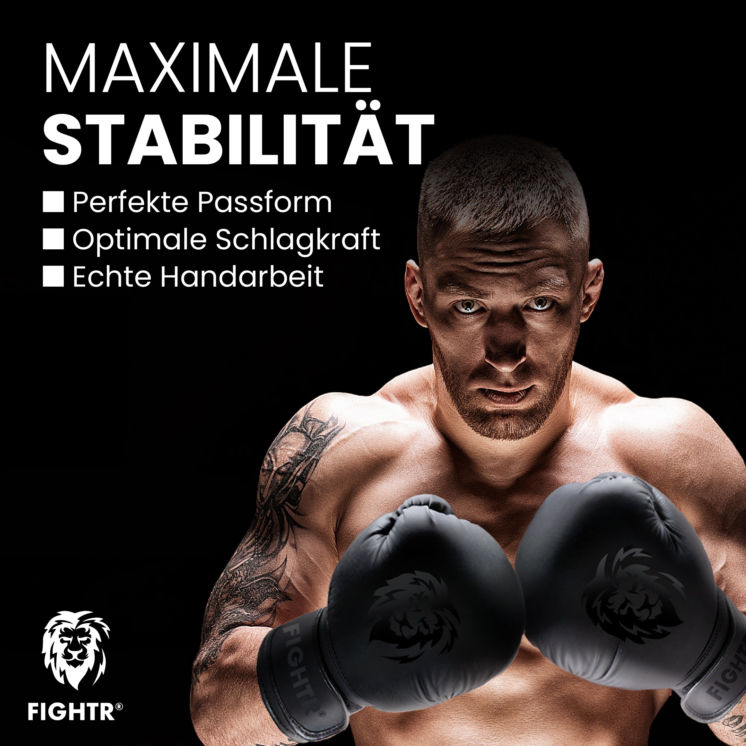 Boxhandschuhe FBG XIV