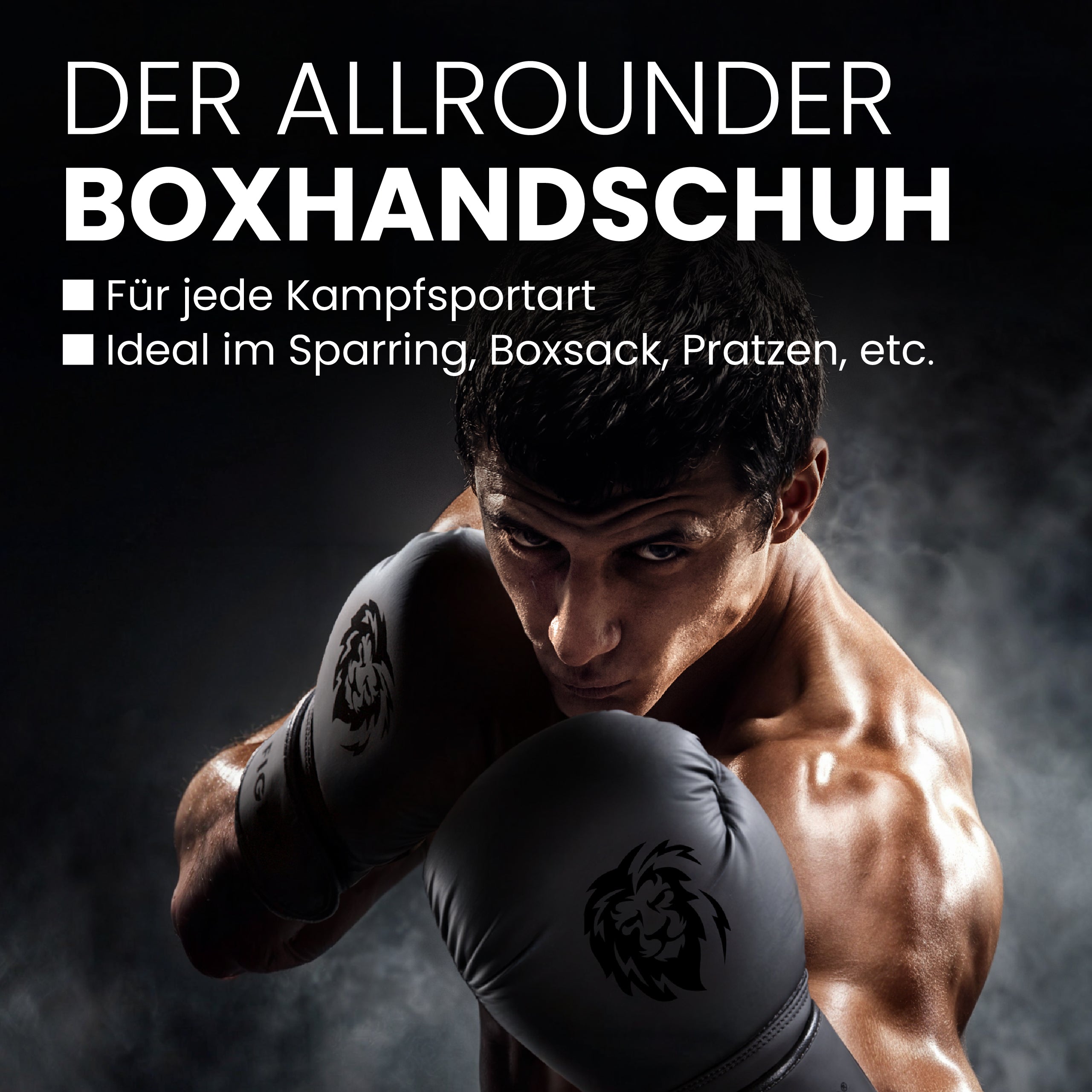 Boxhandschuhe FBG XIV