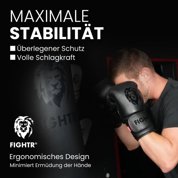Guantes de boxeo FBG XIV