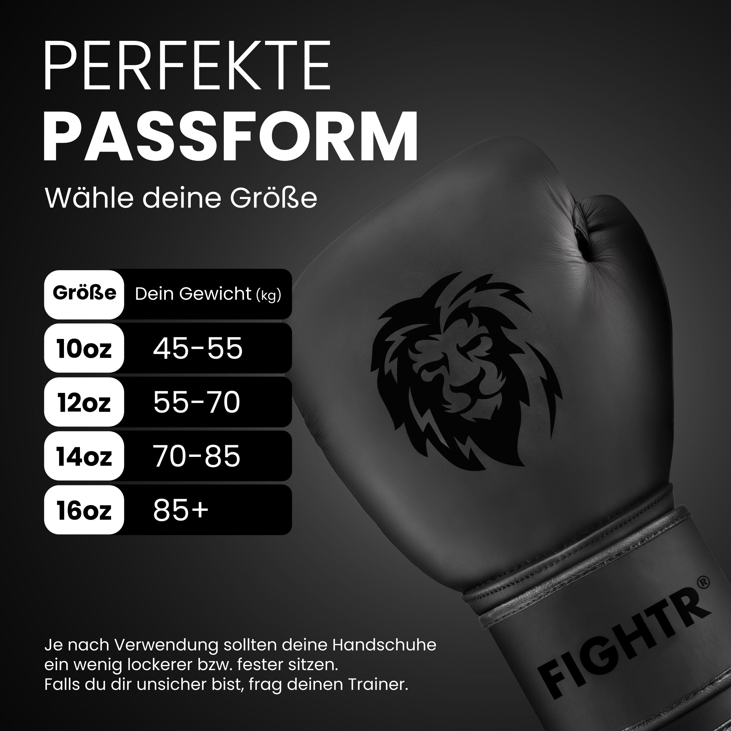 Guantes de boxeo FBG XIV