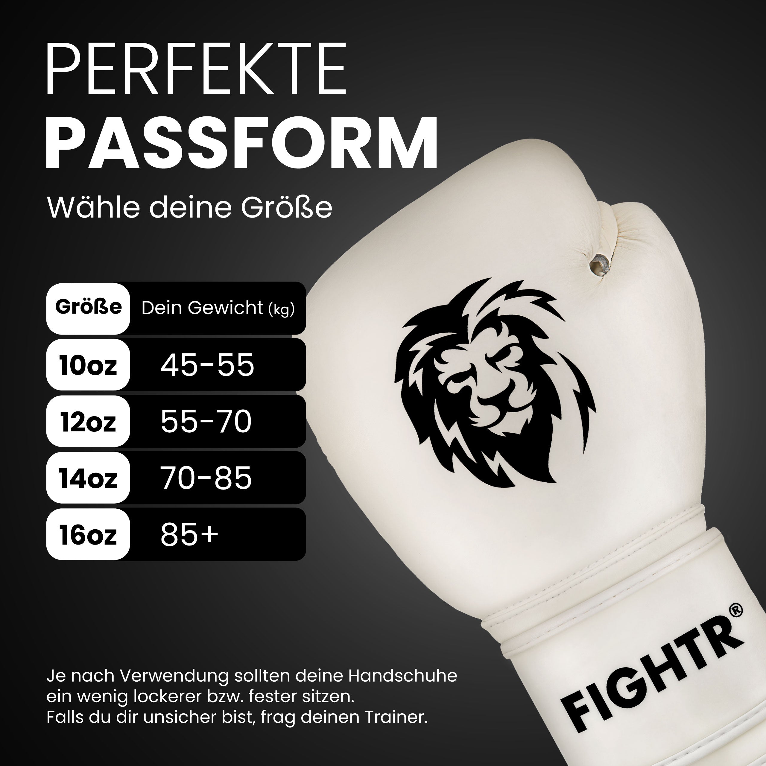 Guantes de boxeo FBG XIV