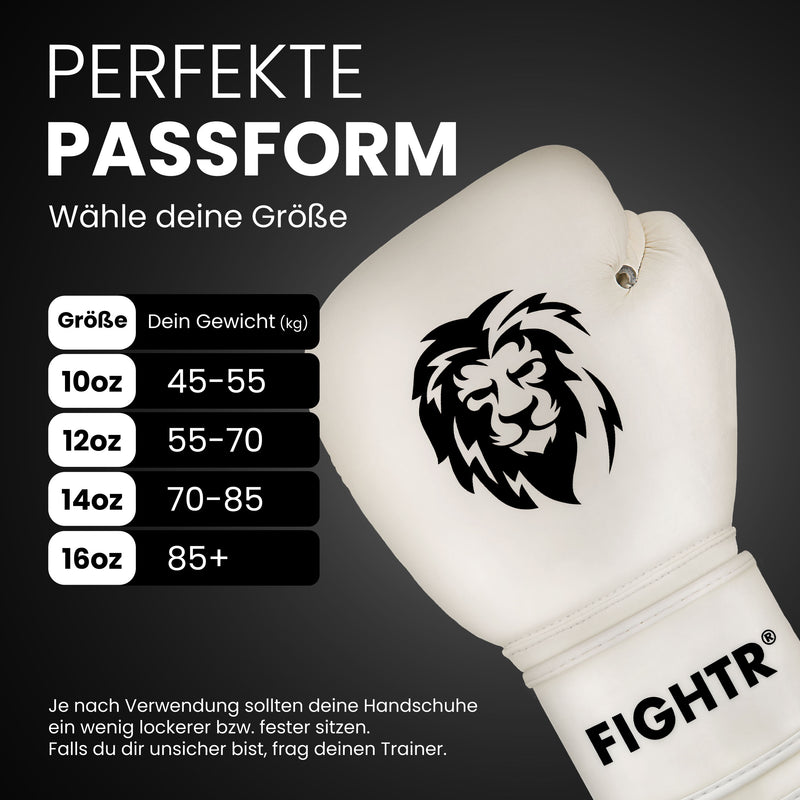 Guantes de boxeo FBG XIV