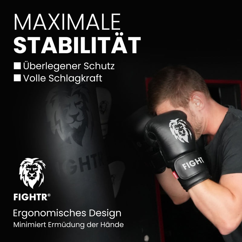 Guantes de boxeo FBG XIV