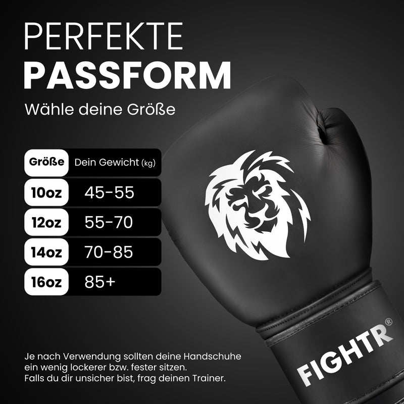 Guantes de boxeo FBG XIV