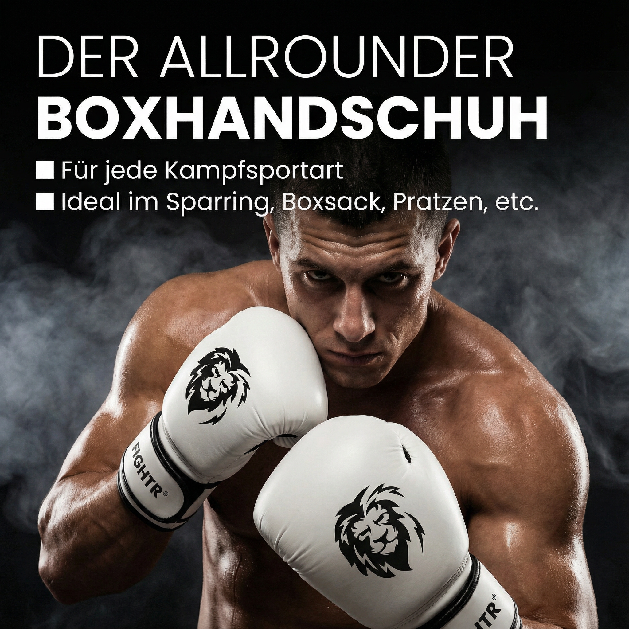 Guantes de boxeo FBG XIV